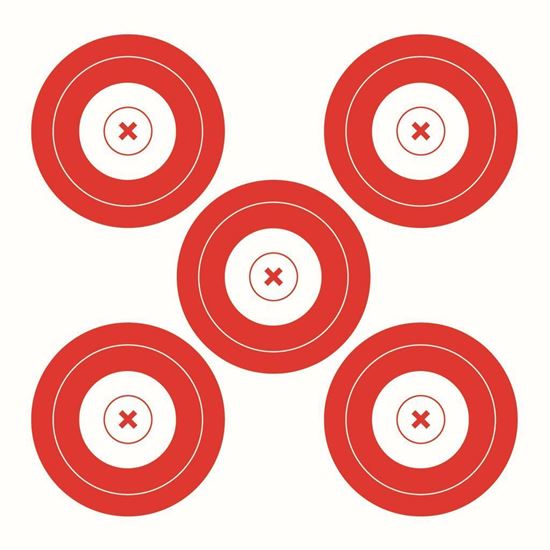 Picture of Walk On Paper Target 