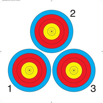 Picture of Walk On Paper Target