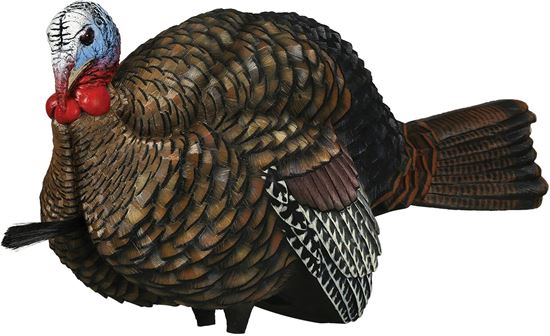 Picture of Avian-X AVX8012 8012 LCD 1/2 Strut Jake Turkey Decoy