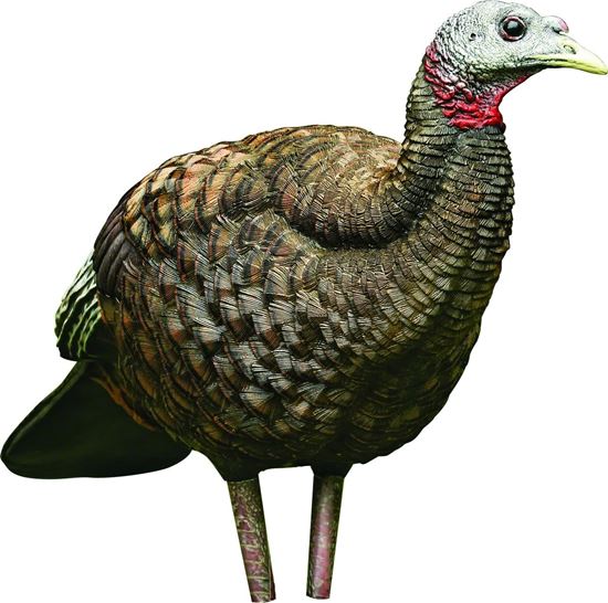 Picture of Avian-X AVX8008 8008 LCD Breeder Hen Turkey Decoy, Full Body, Inflatable