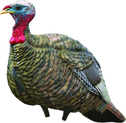 Picture of Avian-X AVX8003 8003 LCD Jake Quarter Strut Turkey Decoy, Full Body, Inflatable