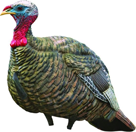 Picture of Avian-X AVX8003 8003 LCD Jake Quarter Strut Turkey Decoy, Full Body, Inflatable