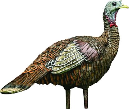 Picture of Avian-X AVX8006 8006 LCD Lookout Hen Turkey Decoy, Full Body, Inflatable