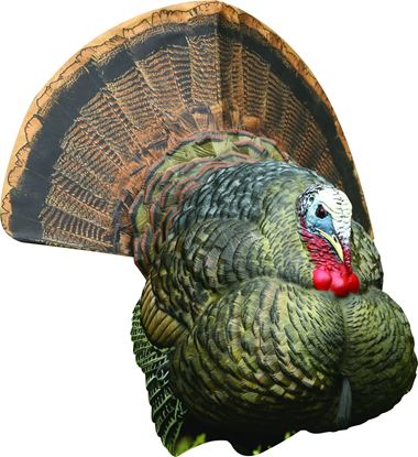 Picture of Avian-X AVX8004 8004 LCD Stutter Turkey Decoy, Full Body, Collapsable