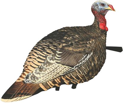 Picture of Avian-X AVX8010 8010 Jake & Lookout Hen Rio Grande Turkey Decoys