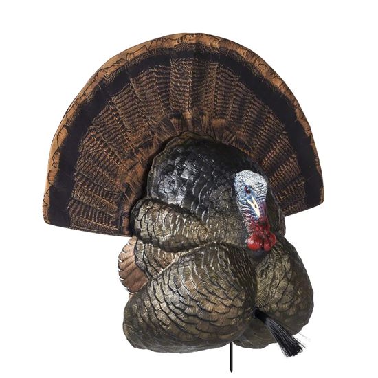 Picture of Flextone FLXDY316 Thunder Creeper Turkey Decoy, Strutter