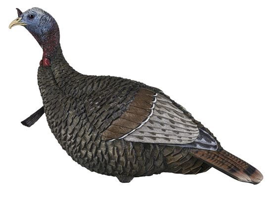 Picture of Flextone FLXDY317 Thunder Jake Turkey Decoy