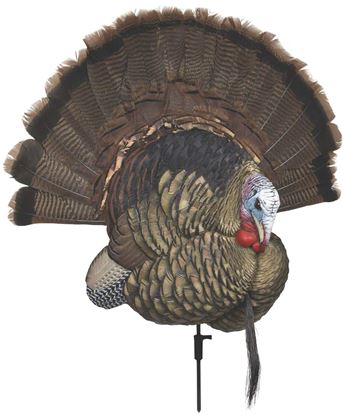 Picture of Avian-X AVX8021 8021 Trophy Tom Turkey Decoy