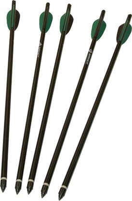 Picture of Barnett 16107 18" Arrows 5Pk