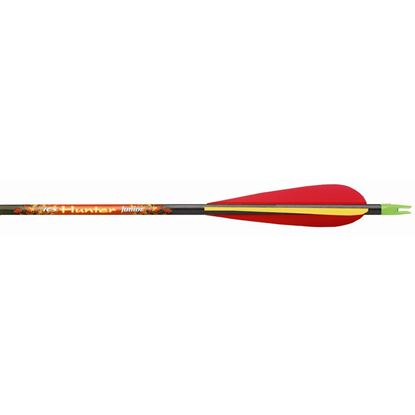 Picture of Beman ICS Hunter Junior Arrows