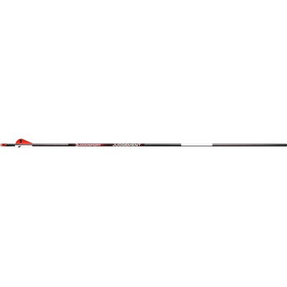 Picture of BloodSport Judgement Arrows