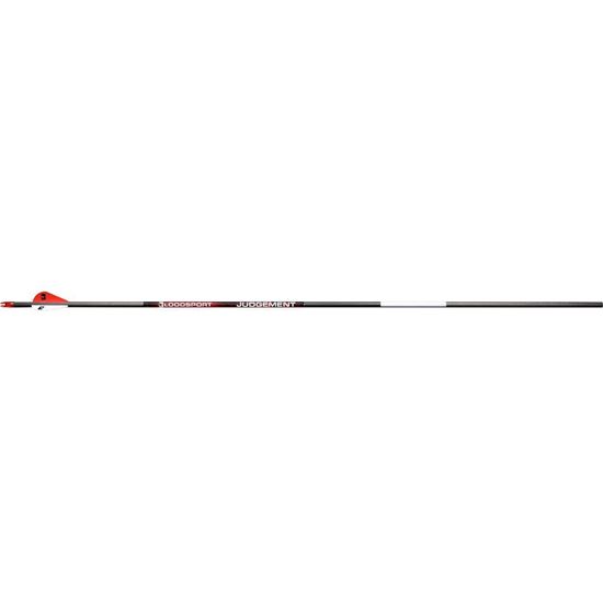 Picture of BloodSport Judgement Arrows