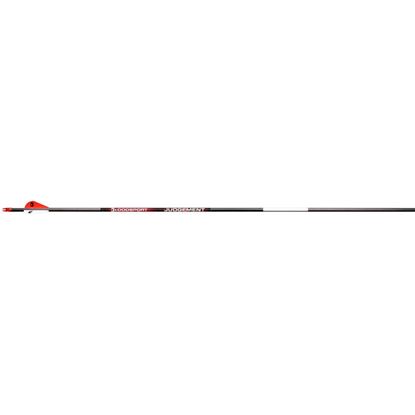 Picture of BloodSport Judgement Arrows