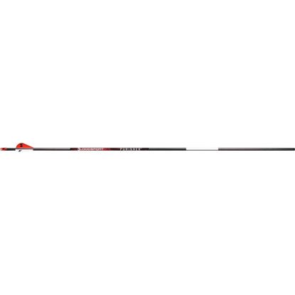 Picture of BloodSport Punisher Arrows