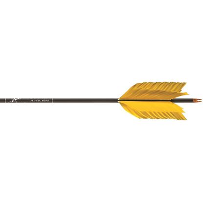 Picture of Carbon Express Flu-Flu Arrows