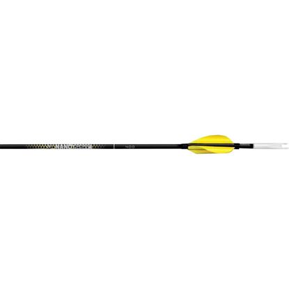 Picture of Carbon Express Nano SST Shafts