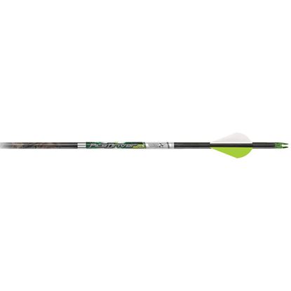 Picture of Carbon Express PileDriver DS Arrows