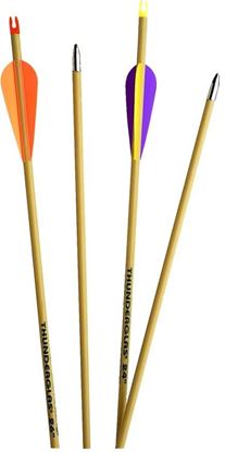 Picture of Carbon Express G0326 Thunder Express Arrows 26" Youth Dura Vanes 3Pk