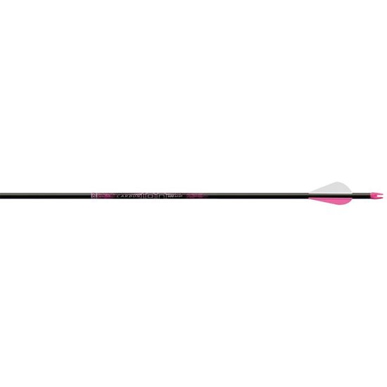 Picture of Easton Carbon Ion Arrows