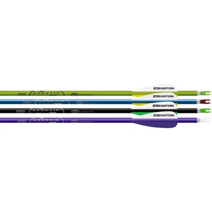 Picture of Easton Genesis V2 Arrows