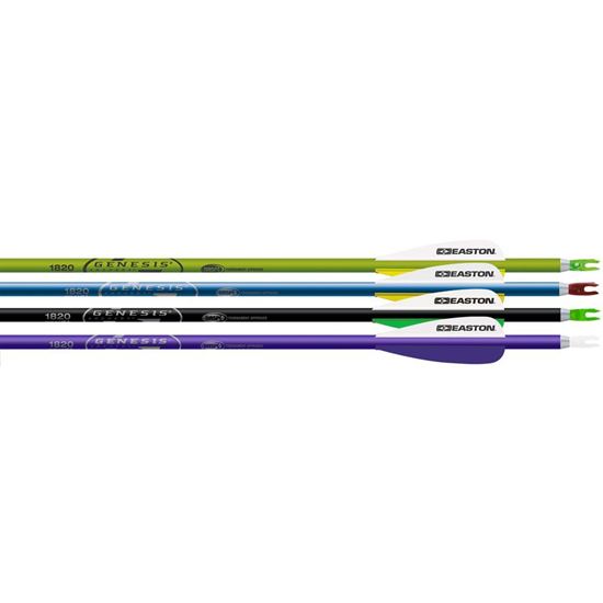Picture of Easton Genesis V2 Arrows