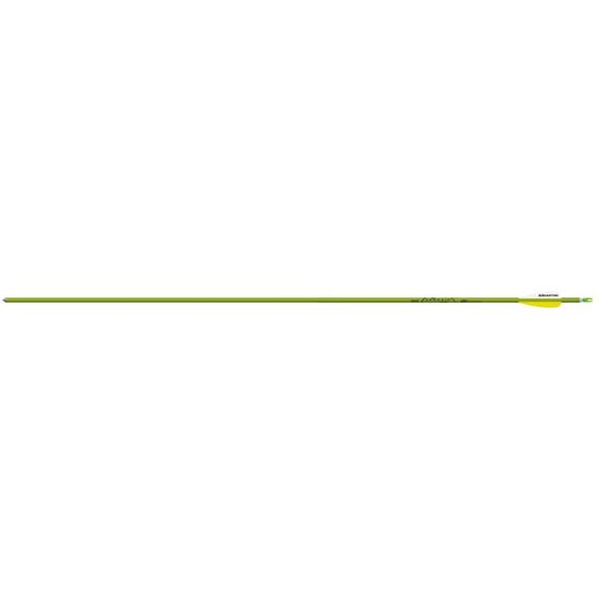 Picture of Easton Genesis V2 Arrows