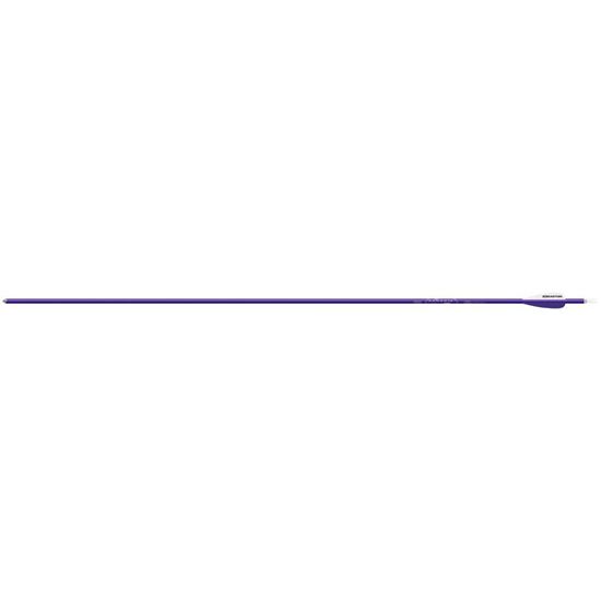 Picture of Easton Genesis V2 Arrows