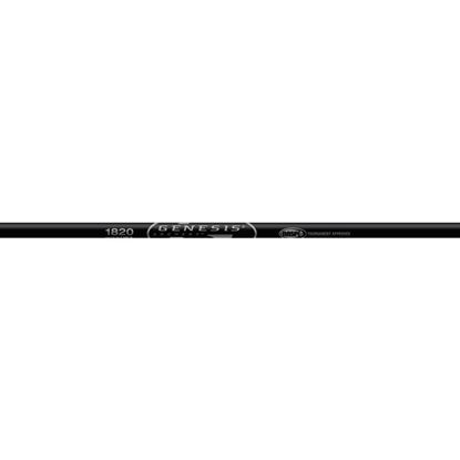 Picture of Easton Genesis V2 Shafts