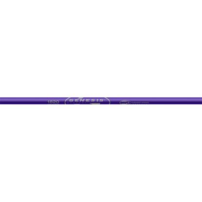 Picture of Easton Genesis V2 Shafts