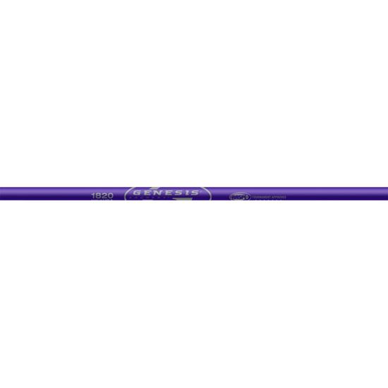 Picture of Easton Genesis V2 Shafts