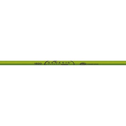 Picture of Easton Genesis V2 Shafts