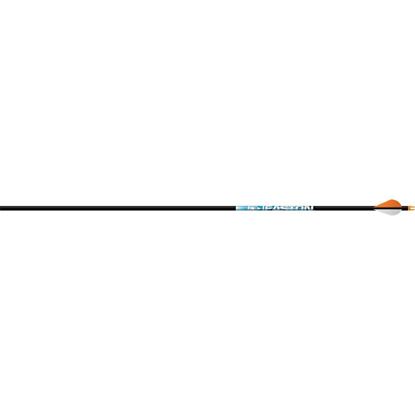 Picture of Easton Hyperspeed Shafts