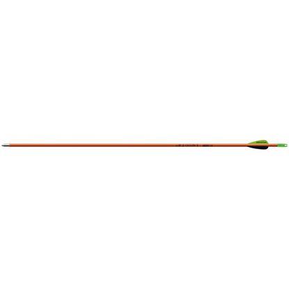 Picture of Easton Scout II Fiberglass Arrow