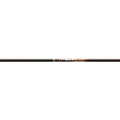Picture of Easton Tribute Shafts