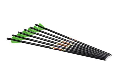 Picture of Excalibur 22DV18-6 Diablo 18" Carbon Arrows - (Pkg of 6) For use on all Matrix crossbows