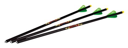 Picture of Excalibur 22DV18IL-3 Diablo 18" Illuminated Carbon Arrows-(3 Pack)For use on Matrix crossbows