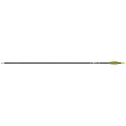 Picture of Gold Tip Fiberglass Arrows