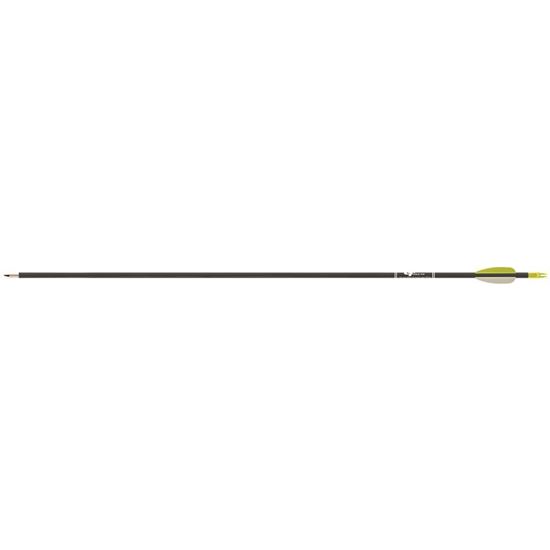 Picture of Gold Tip Fiberglass Arrows