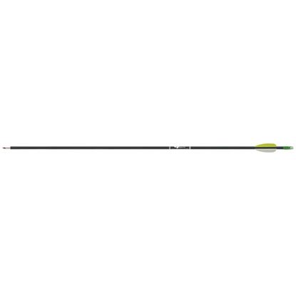 Picture of Gold Tip Fiberglass Arrows