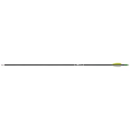 Picture of Gold Tip Fiberglass Arrows