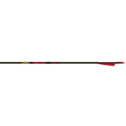 Picture of Gold Tip Hunter Arrows