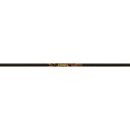 Picture of Gold Tip Ultralight Entrada