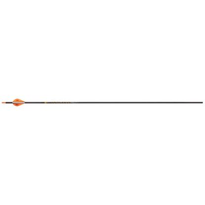 Picture of Victory VAP TKO Elite Arrows