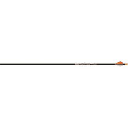 Picture of Easton Axis SPT Arrows