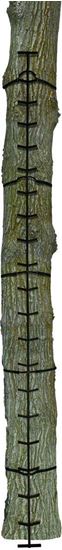 Picture of Muddy MCS0120 Quick Stick XL Climbing System Tree Steps, 20' Total Height, 5 Sections, 10.5" Width