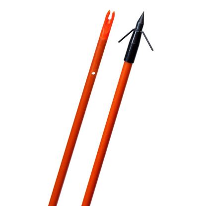 Picture of Fin-Finder Raider Arrow