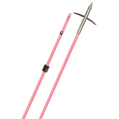 Picture of Fin-Finder RaiderettePro Arrow