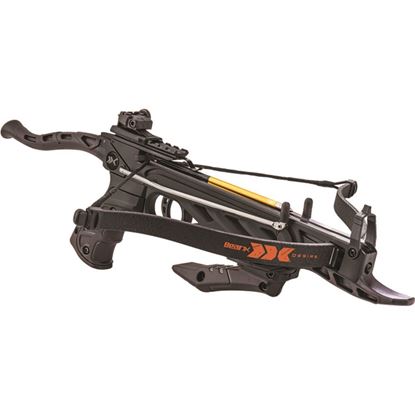 Picture of Bear X Desire Pistol Crossbow