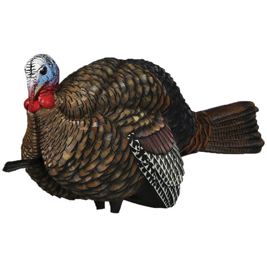 Picture of Avian X Turkey Decoy