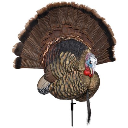 Picture of Avian X Turkey Decoy